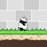 Ordinary Panda parkour